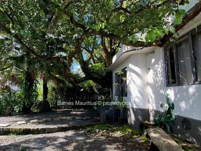 CUREPIPE - 2 detached houses that can be used as retail spaces - 420 m²