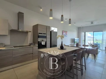 3 Bedroom Penthouse