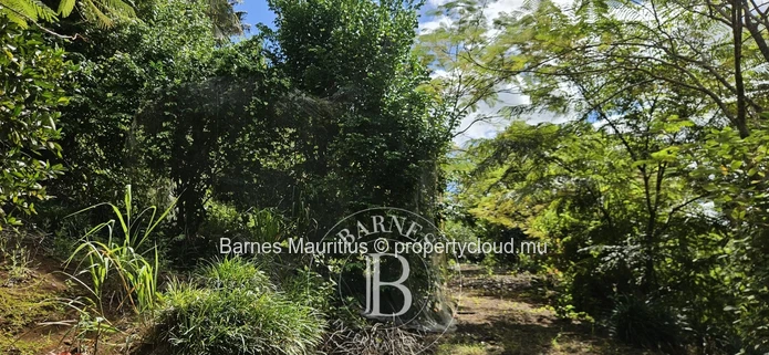 2 Bras - Agricultural Land - 31 Acres