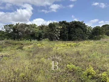 Residential Land