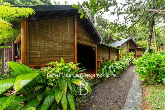 MARE LONGUE - Charming wooden chalets nestled in nature - 4220m²