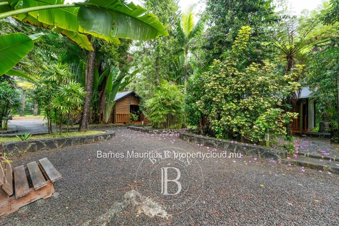 MARE LONGUE - Charming wooden chalets nestled in nature - 4220m²