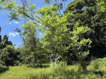 Agricultural Land