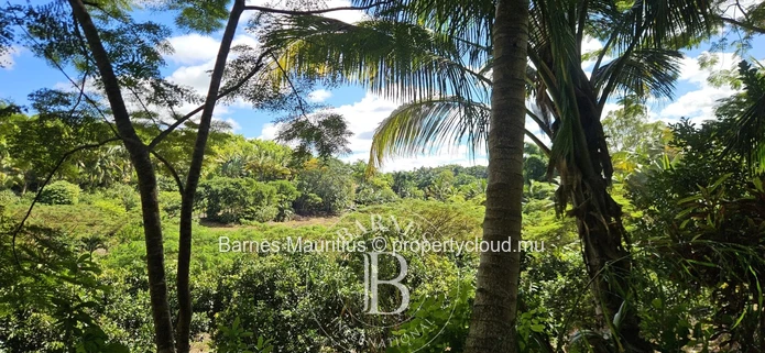 2 Bras - Agricultural Land - 31 Acres