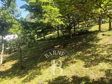Agricultural Land