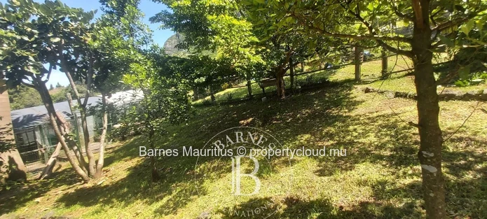 MOKA – Agricultural land with container home – 3,160 m²