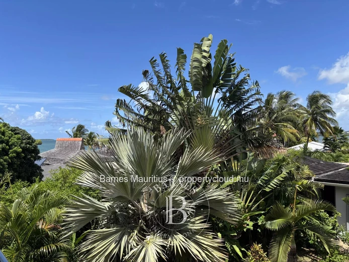 VIEUX GRAND PORT - Contemporary villa with sea access - 6 bedrooms - 788 m²