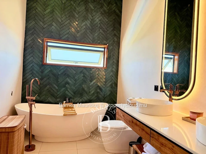 TAMARIN - Brand New Modern Villa - 3 Bedrooms