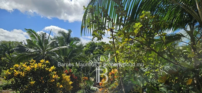 2 Bras - Agricultural Land - 31 Acres