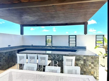 3 Bedroom Penthouse
