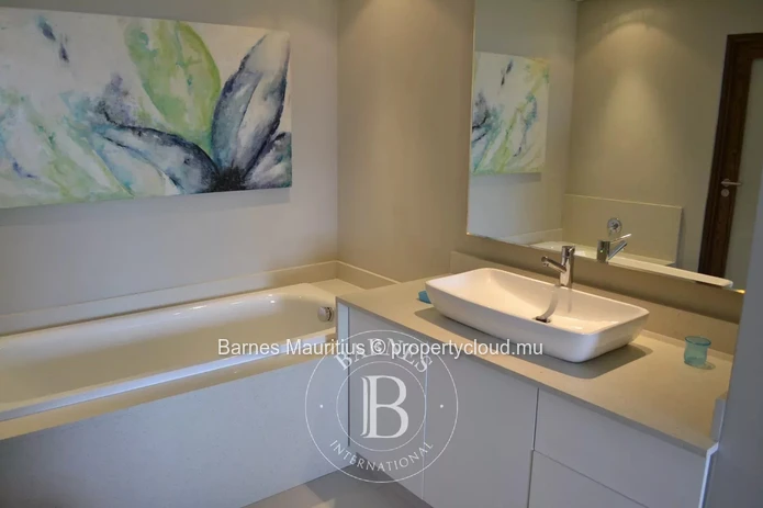 BAIN BOEUF – Penthouse with rooftop, pool, close to the beaches – 3 bedrooms