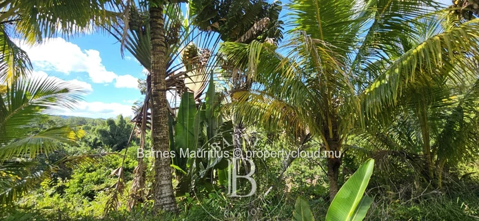 2 Bras - Agricultural Land - 31 Acres