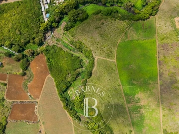 Agricultural Land