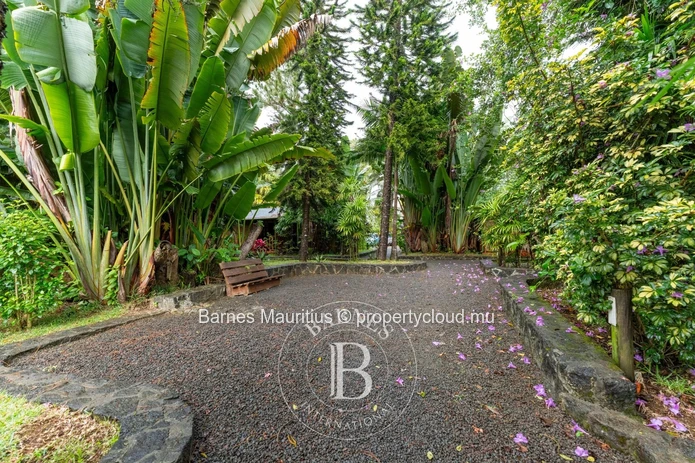 MARE LONGUE - Charming wooden chalets nestled in nature - 4220m²