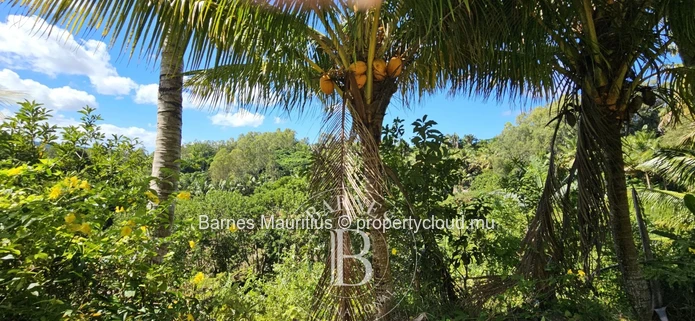 2 Bras - Agricultural Land - 31 Acres