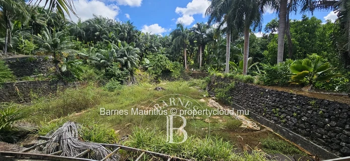 2 Bras - Agricultural Land - 31 Acres