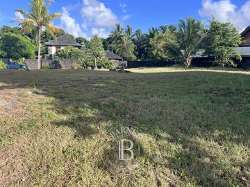 Residential Land