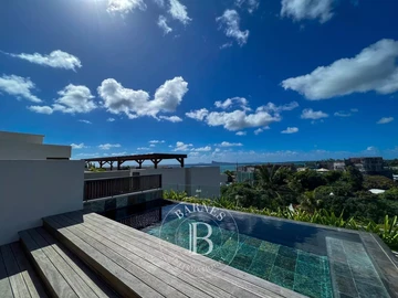 3 Bedroom Penthouse