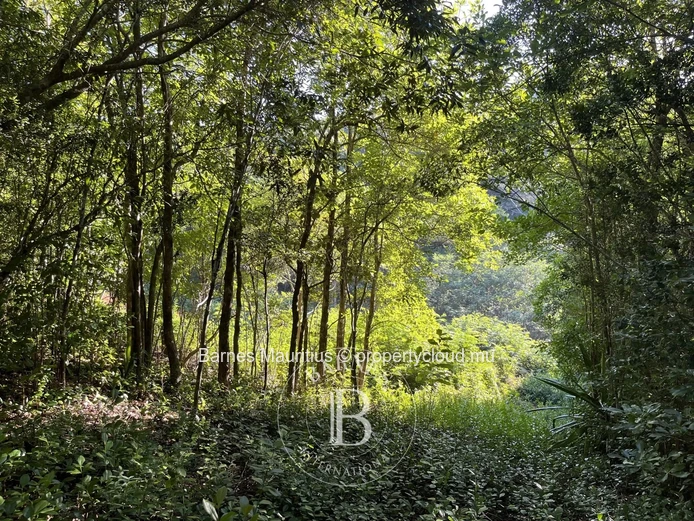 CHAMAREL - Agricultural Land - 10,276 m²