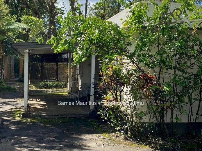CUREPIPE - 2 detached houses that can be used as retail spaces - 420 m²