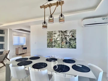 3 Bedroom Penthouse