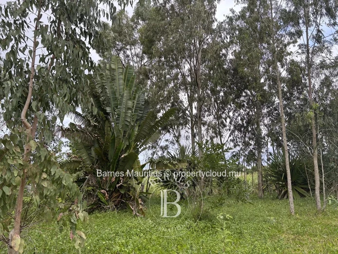 DEUX BRAS - Agricultural land - 2,1 arpents