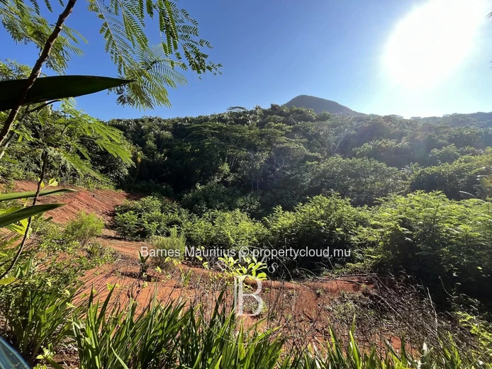CHAMAREL - Agricultural Land - 10,276 m²