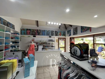 Commercial Property