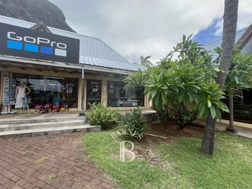 Commercial Property