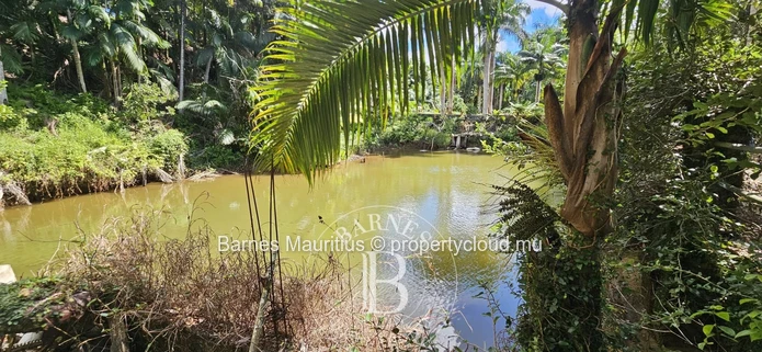 2 Bras - Agricultural Land - 31 Acres