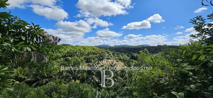 2 Bras - Agricultural Land - 31 Acres