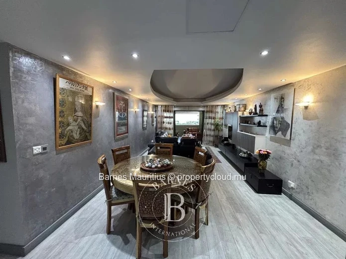 BEAU BASSIN– Penthouse lumineux avec terrasse panoramique – 3 chambres