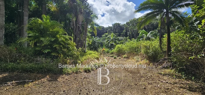 2 Bras - Agricultural Land - 31 Acres