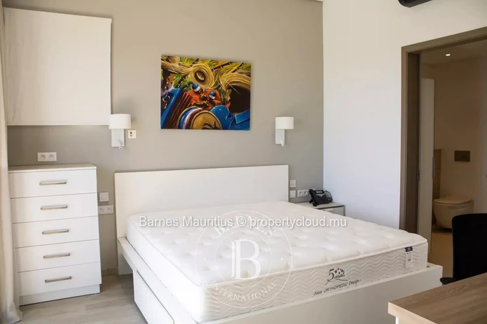 RÉDUIT - New penthouse with elevator - 1 bedroom