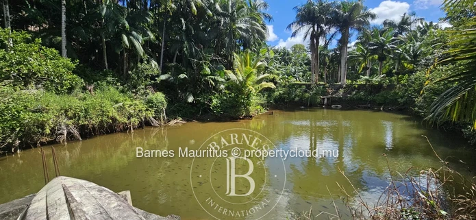 2 Bras - Agricultural Land - 31 Acres