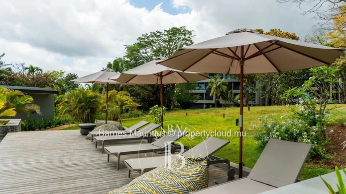 BELLE VUE - Apartment - 3 Bedrooms