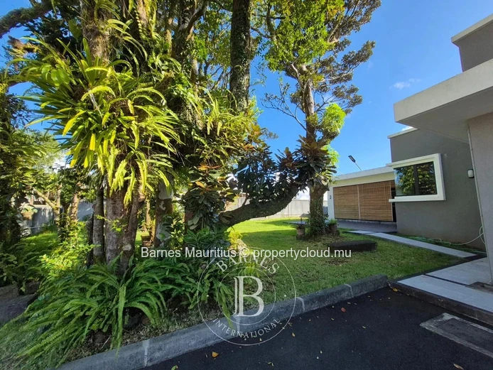 CUREPIPE - Office - 24 m²