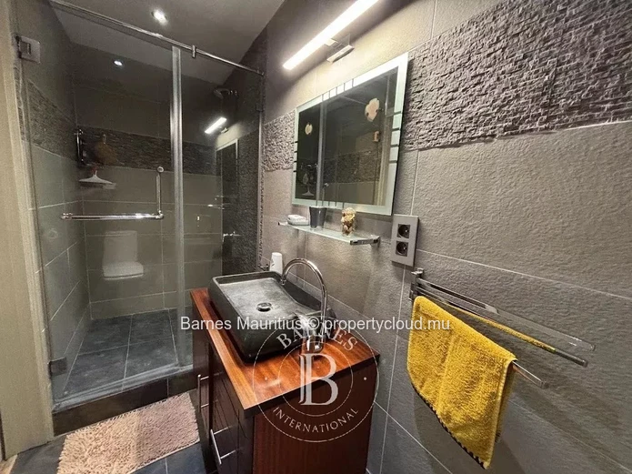 BEAU BASSIN– Penthouse lumineux avec terrasse panoramique – 3 chambres