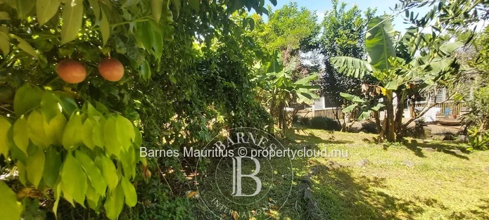 MOKA – Agricultural land with container home – 3,160 m²