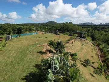 Agricultural Land
