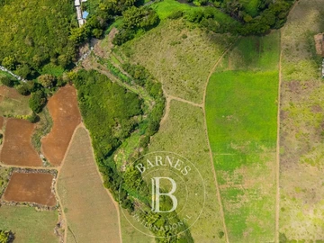 Agricultural Land
