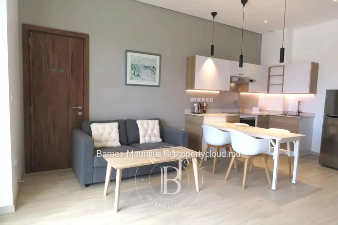 RÉDUIT - New penthouse with elevator - 1 bedroom