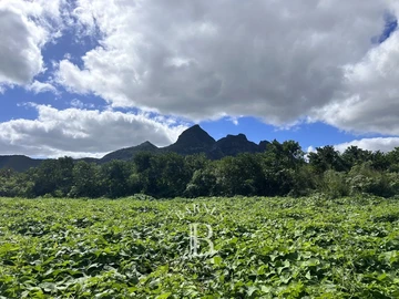 Agricultural Land
