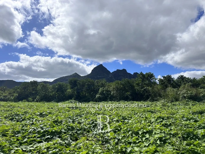 SAINT PIERRE - Agricultural land - 2,767 m²