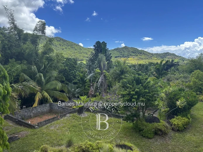 ANSE JONCHÉE - Terrain résidentiel et agricole - 46244 m2