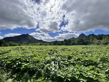 Agricultural Land