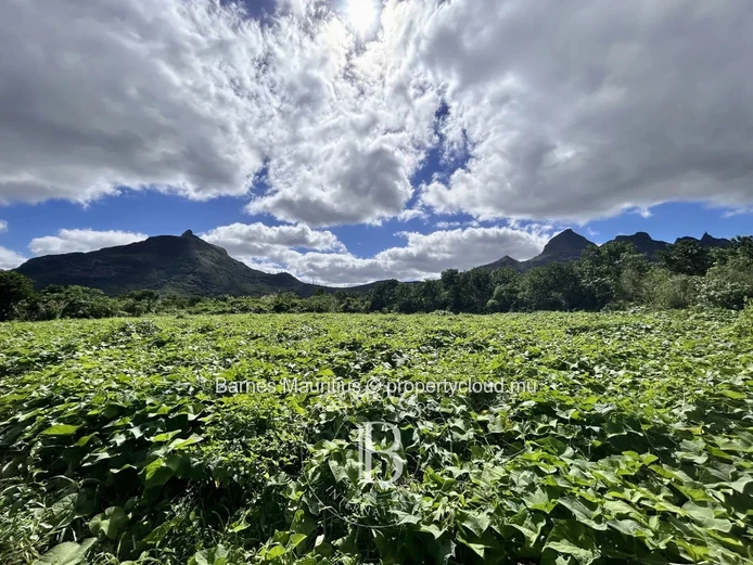 SAINT PIERRE - Agricultural land - 2,767 m²