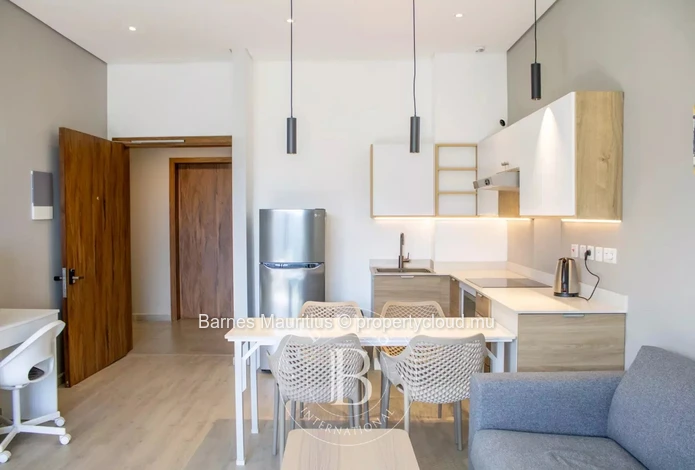 RÉDUIT - New penthouse with elevator - 1 bedroom