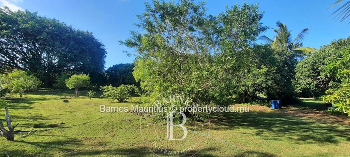 Daruty Forest- Plot For Sale.