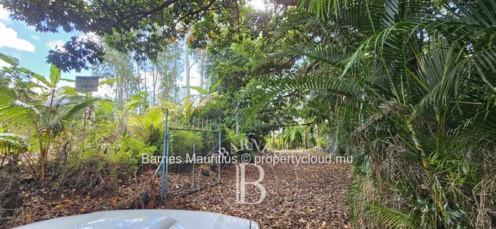 2 Bras - Agricultural Land - 31 Acres